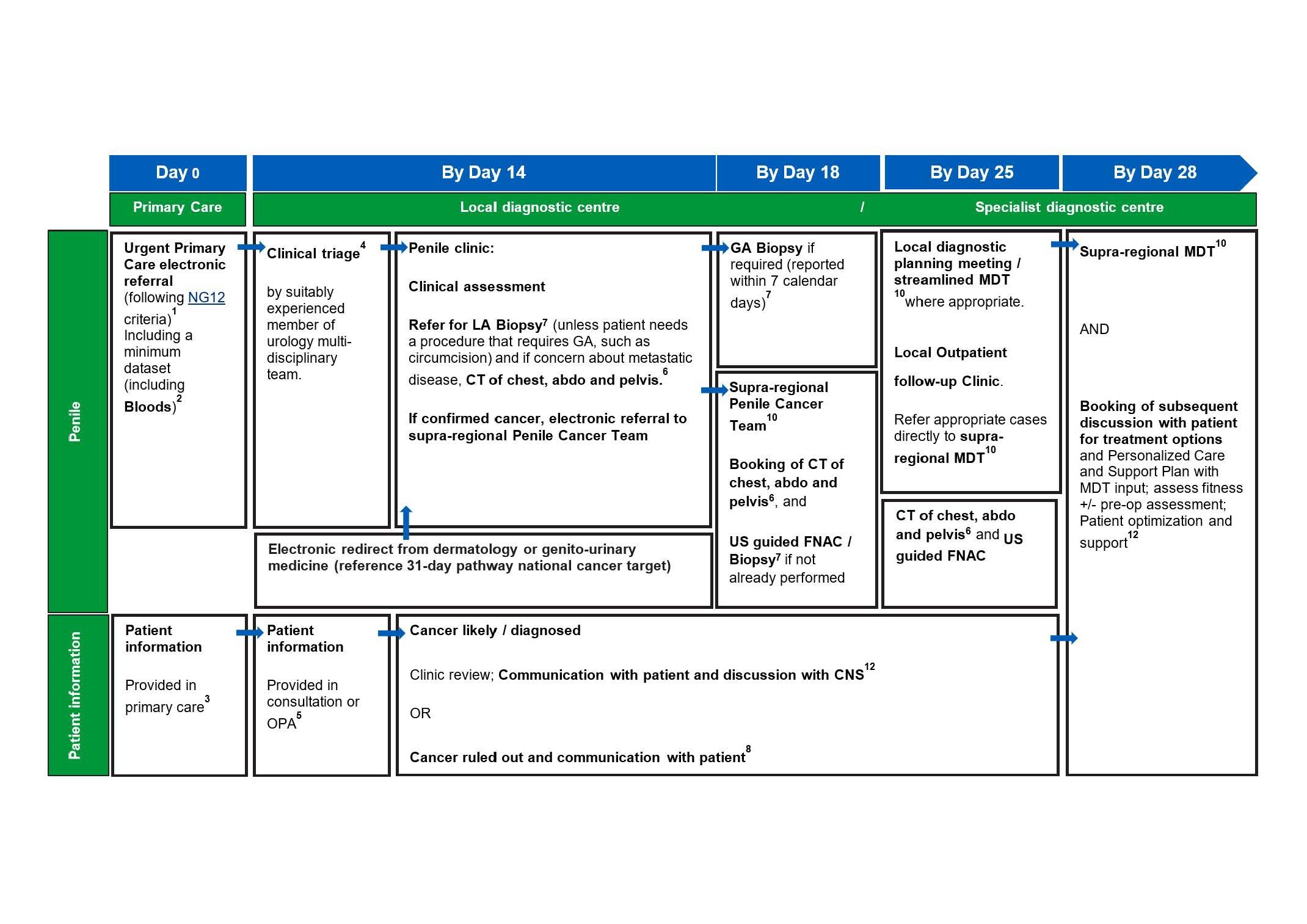 Urological Cancer Implementing A Timed Diagnostic Pathway